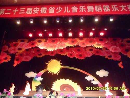 2010參加安徽省第二十三屆樂(lè)器舞蹈大賽