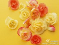 做個(gè)小花