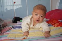 寶寶抬頭訓(xùn)練！